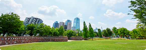 NORITAKE CORPORATE REPORT