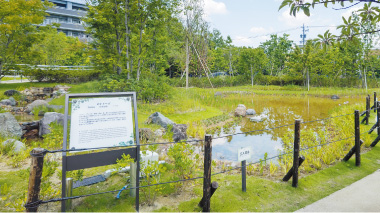 Noritake Garden (Biotope)