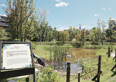 Noritake Garden (Biotope)