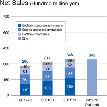 Net Sales