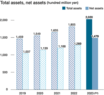 Total assets, net assets