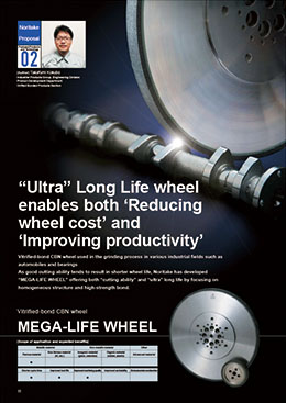 MEGA-LIFE WHEEL