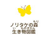 ノリタケの森の生き物図鑑
