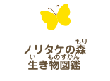 ノリタケの森の生き物図鑑