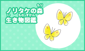 ノリタケの森 生き物図鑑