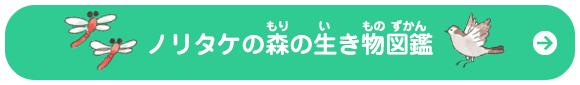 ノリタケの森の生き物図鑑