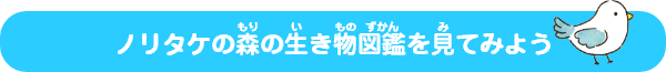 ノリタケの森の生き物図鑑を見てみよう