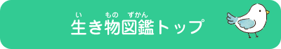 生き物図鑑トップ