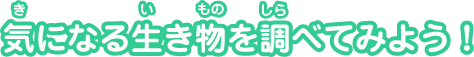 気になる生き物を調べてみよう！