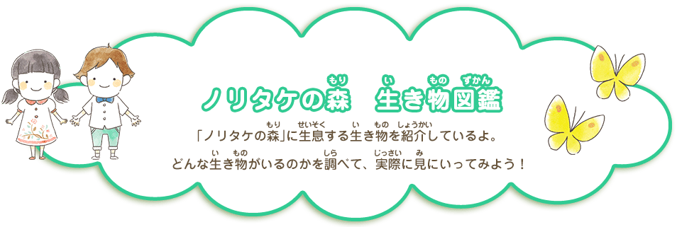 ノリタケの森　生き物図鑑