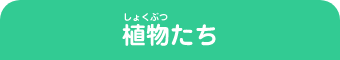 植物たち