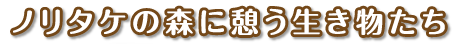 ノリタケの森に憩う生物たち