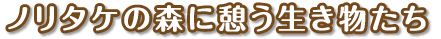 ノリタケの森に憩う生き物たち