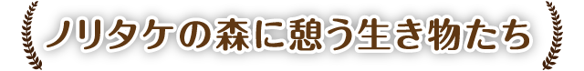 ノリタケの憩う生き物たち