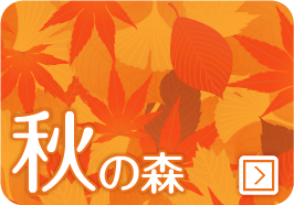 秋の森