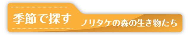 季節で探す ノリタケの生き物たち