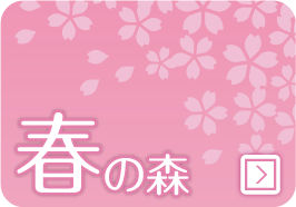 春の森