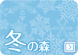 冬の森