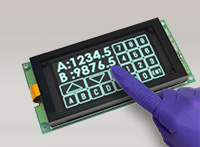 Vacuum Fluorescent Display