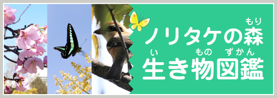 生き物図鑑