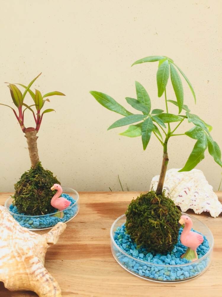 ノリタケスクエア名古屋 夏のワークショップ 文化と出会い 森に憩う ノリタケの森