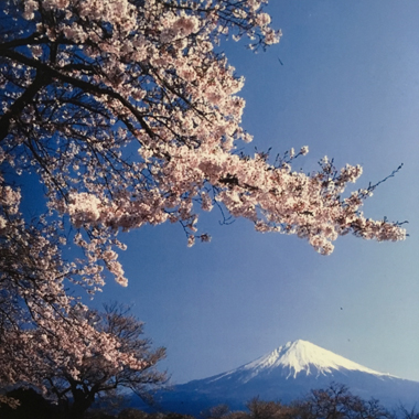 岩田忠夫<風景写真>