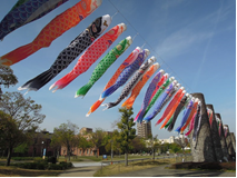 koinobori