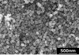 SEM (Scanning Electron Microscope) image of copper nanoparticles