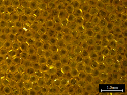 High-Density Single-Layer Diamond Arrangement