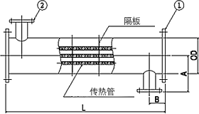 尺寸