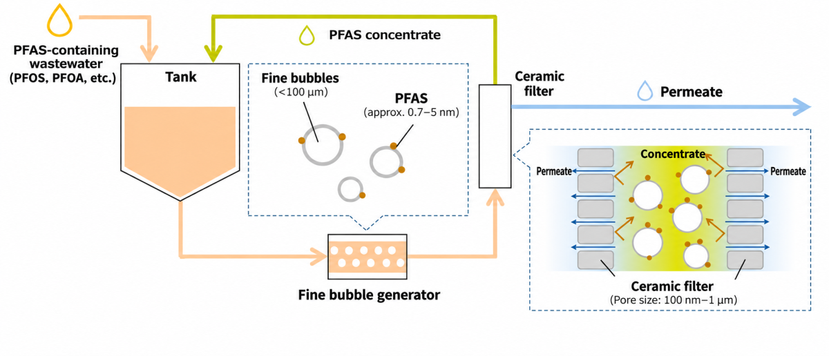 Overview of PFAS Removal Mechanism